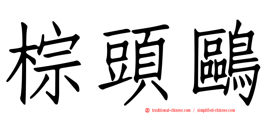 棕頭鷗