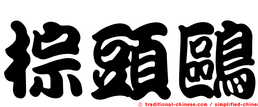 棕頭鷗