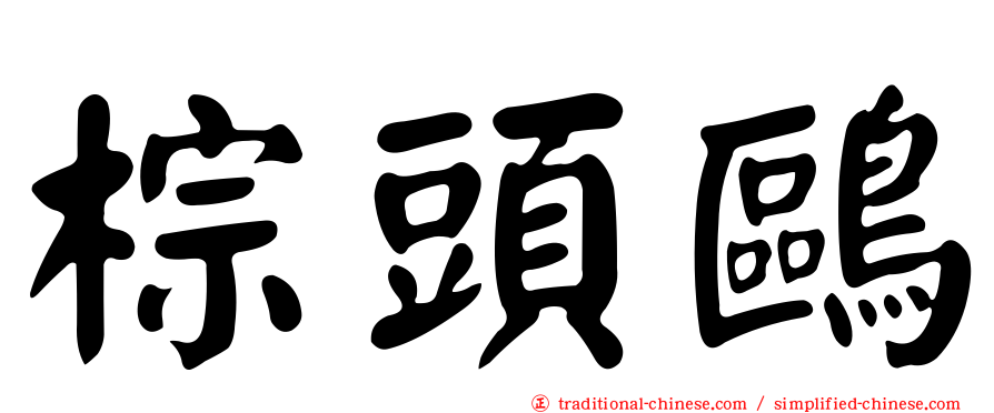 棕頭鷗