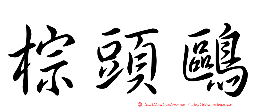 棕頭鷗