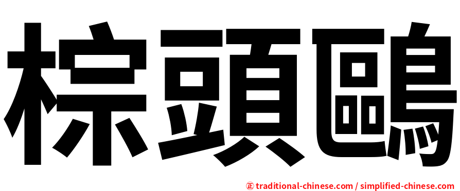 棕頭鷗