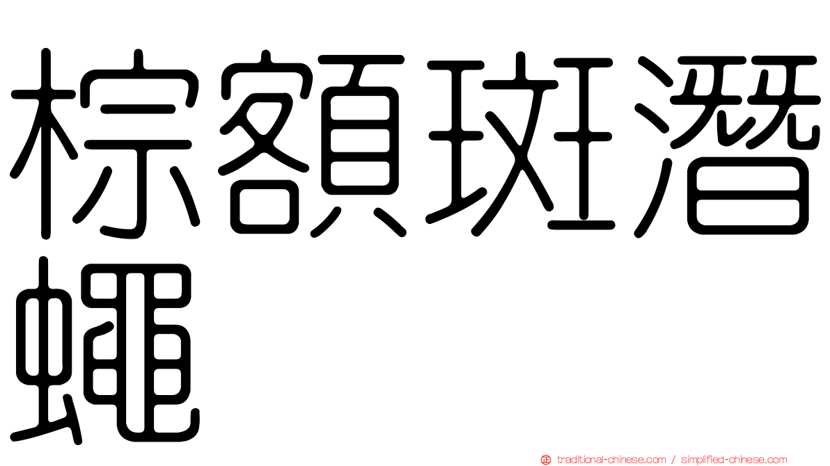 棕額斑潛蠅