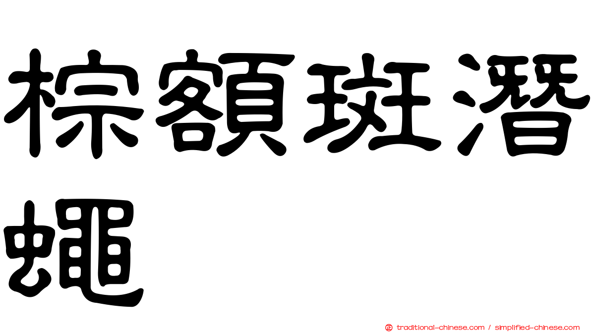 棕額斑潛蠅