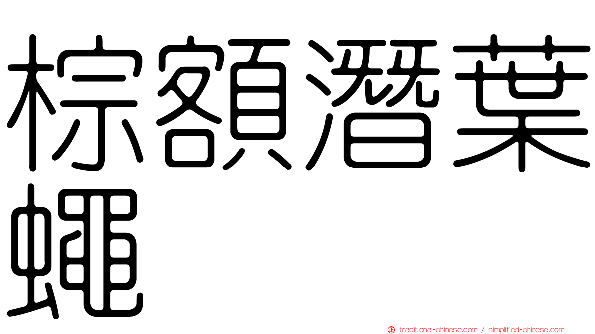 棕額潛葉蠅