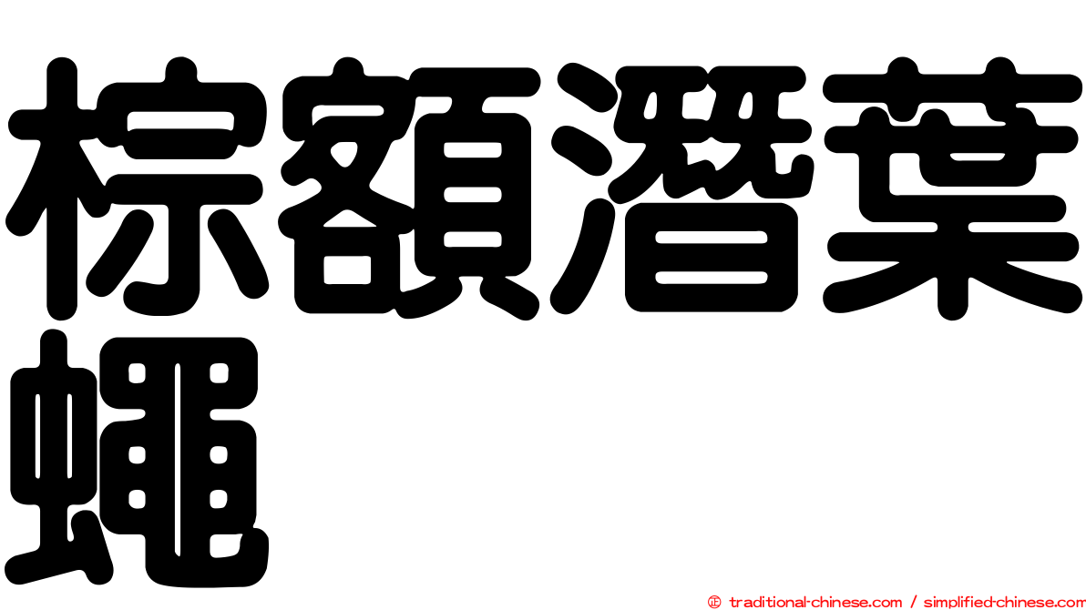 棕額潛葉蠅