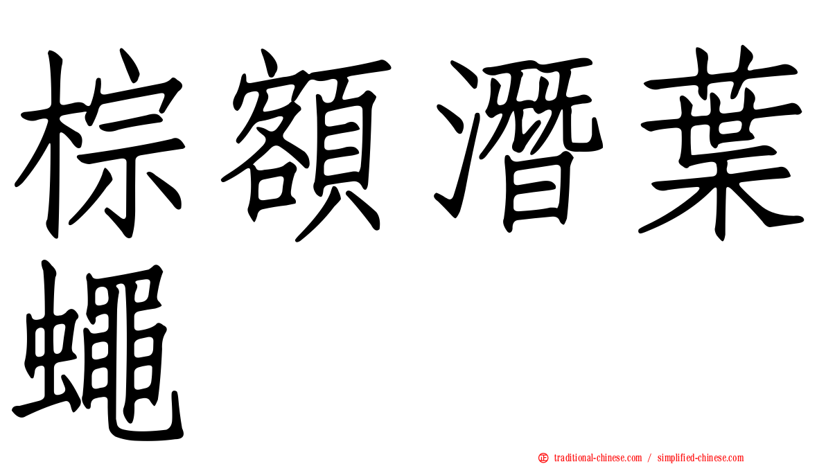 棕額潛葉蠅