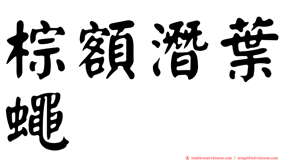 棕額潛葉蠅