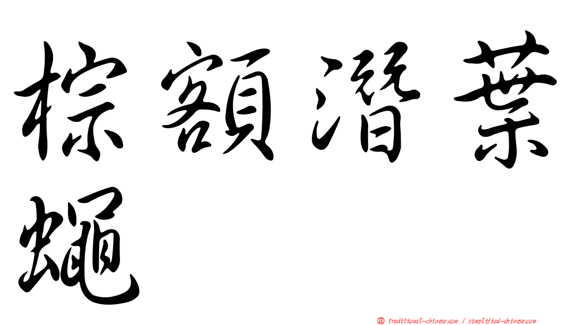 棕額潛葉蠅