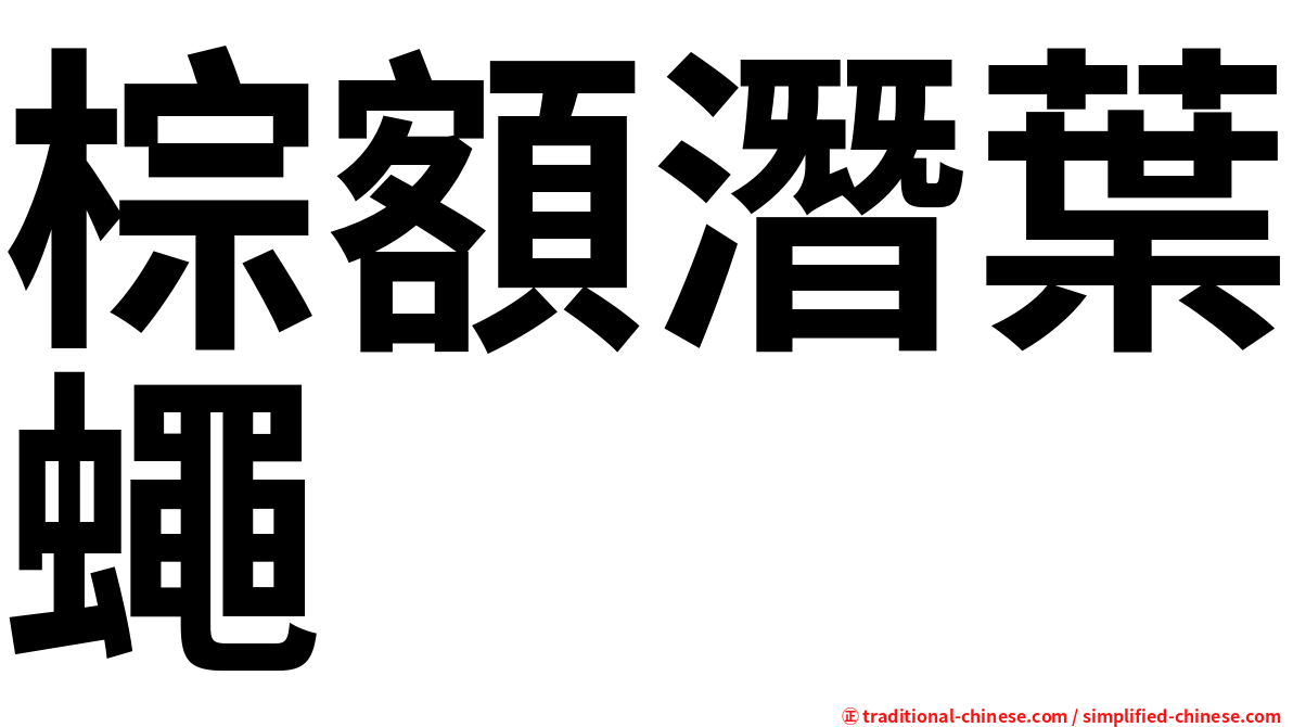 棕額潛葉蠅
