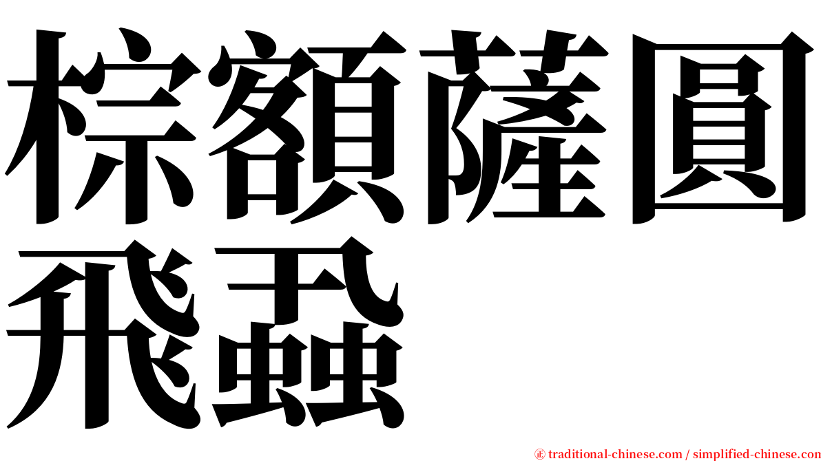 棕額薩圓飛蝨 serif font
