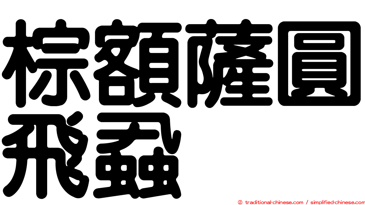 棕額薩圓飛蝨