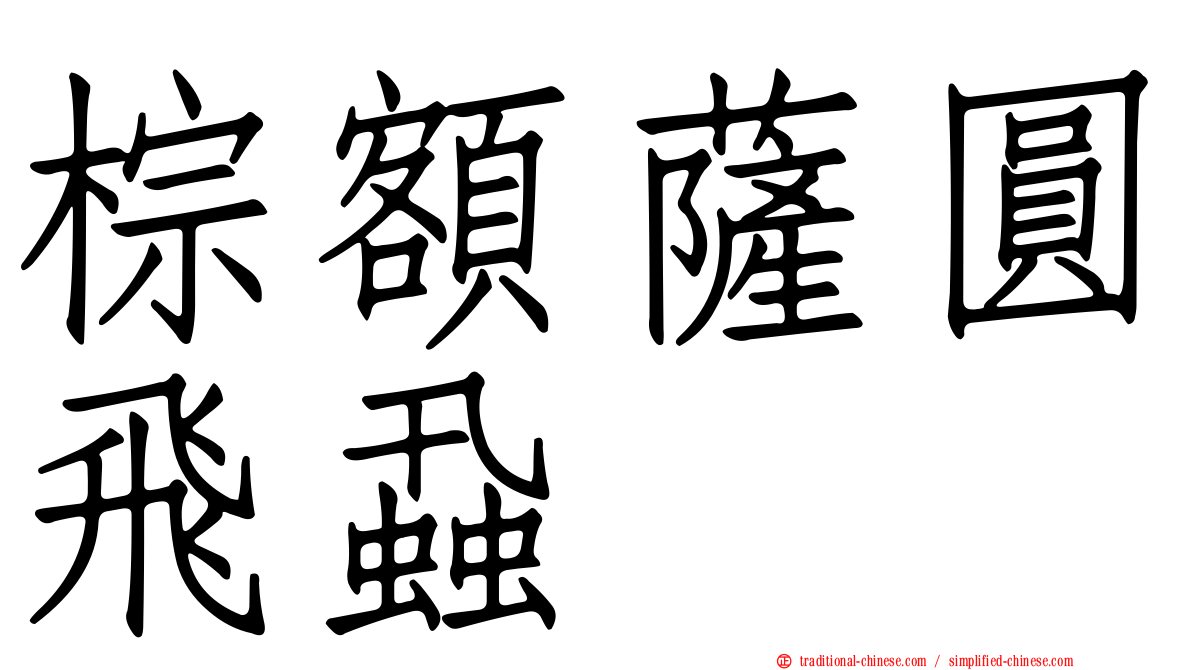 棕額薩圓飛蝨
