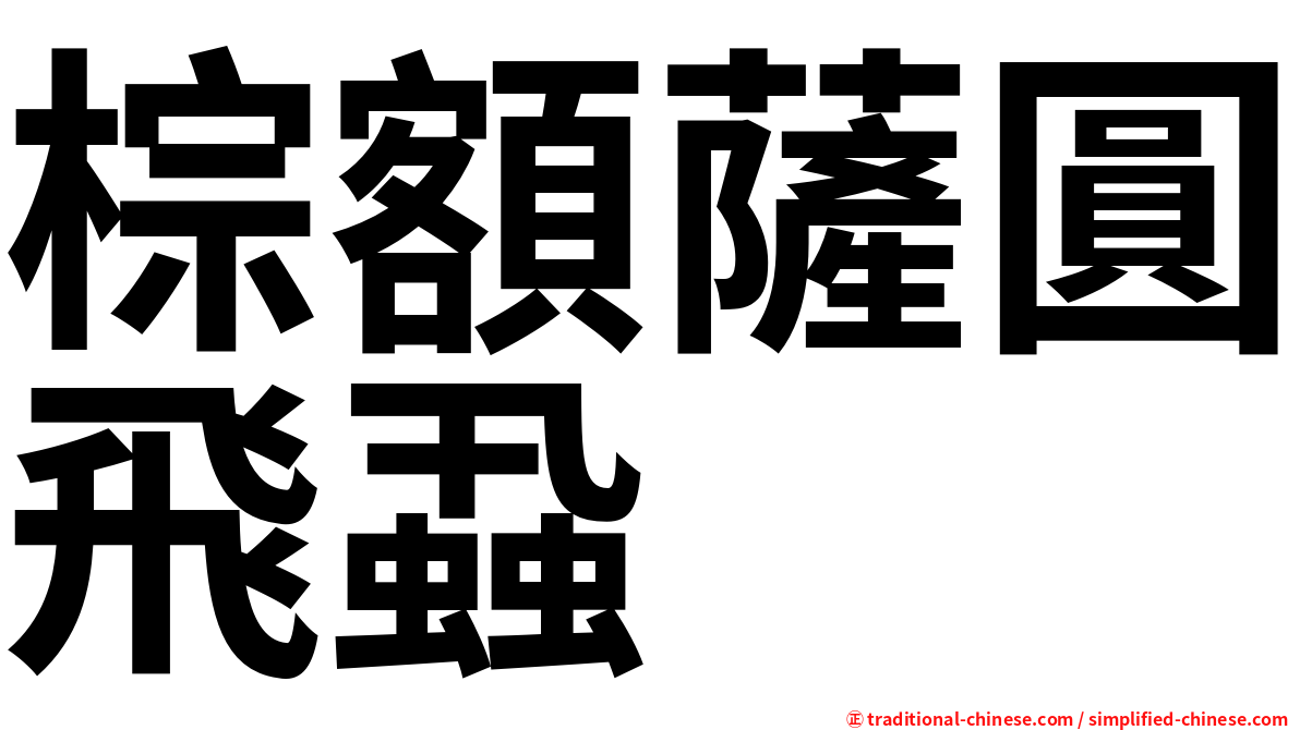 棕額薩圓飛蝨
