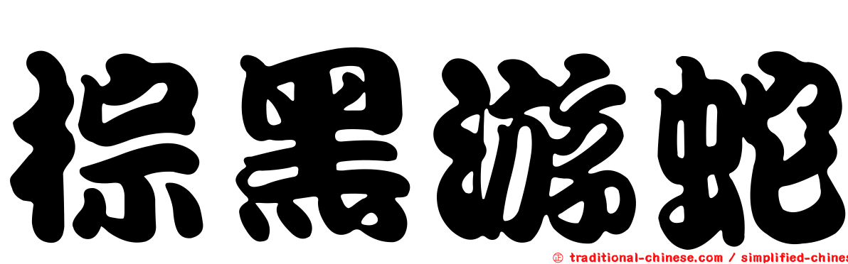棕黑游蛇