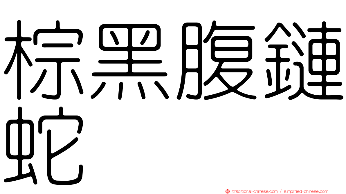 棕黑腹鏈蛇