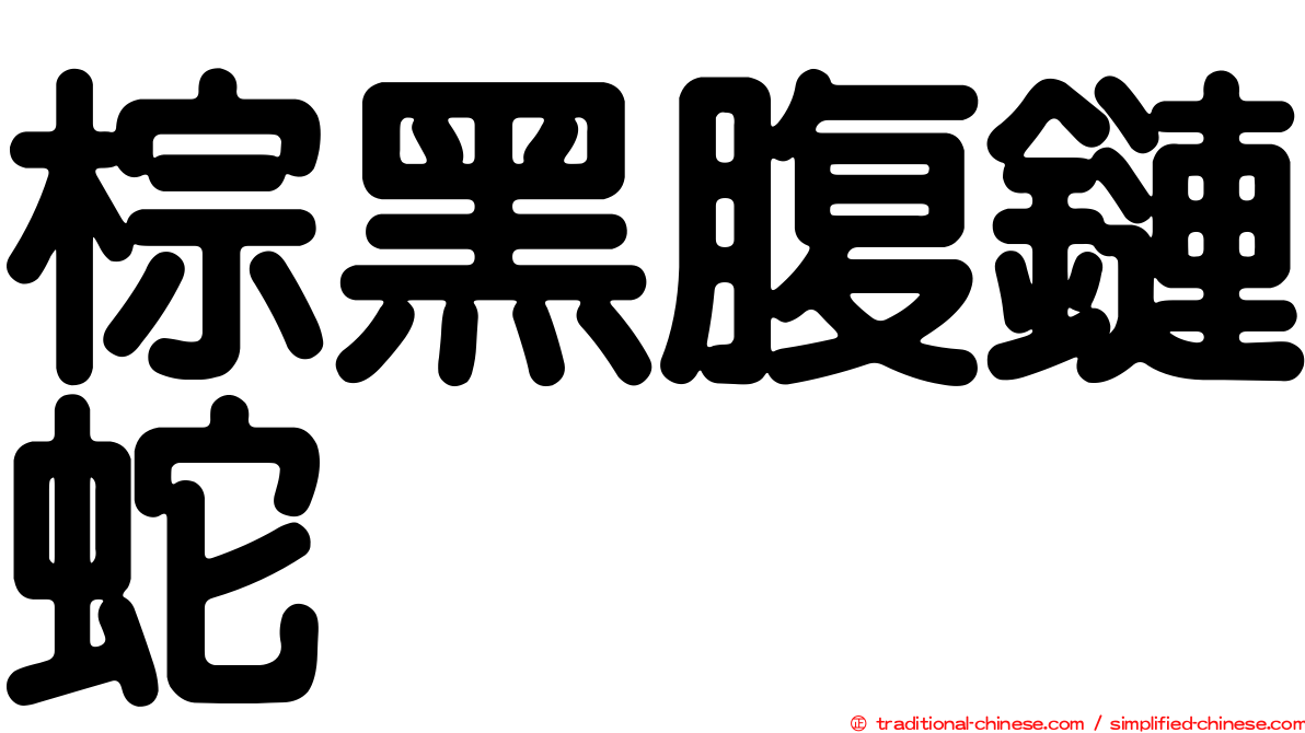 棕黑腹鏈蛇
