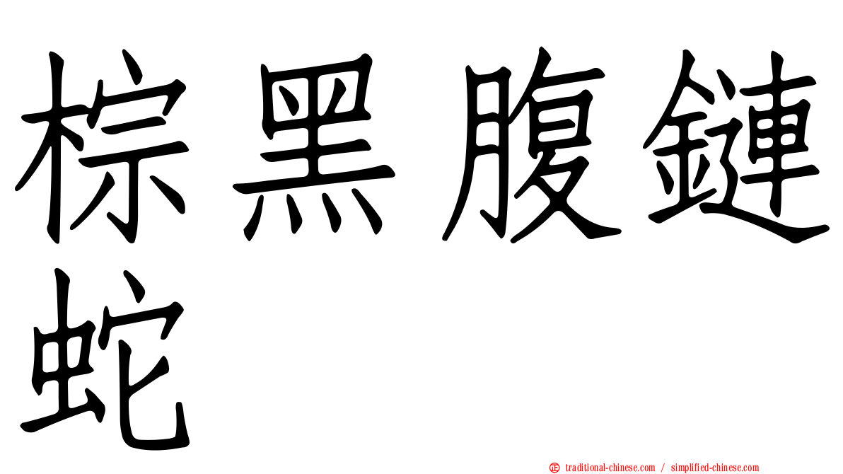 棕黑腹鏈蛇