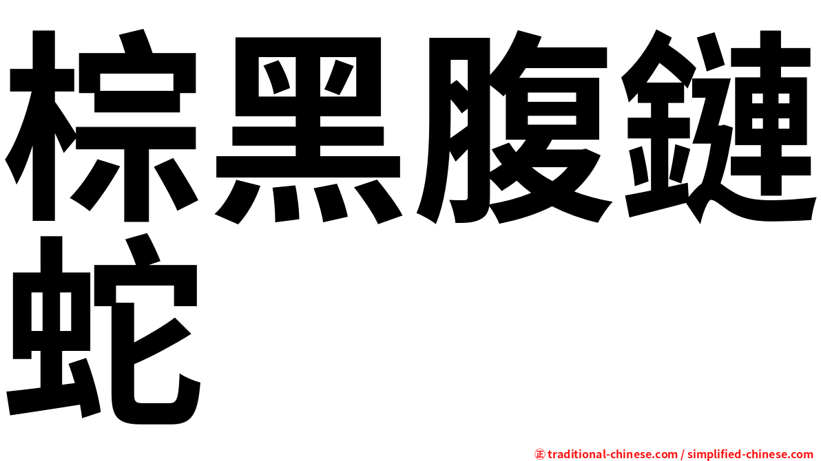 棕黑腹鏈蛇