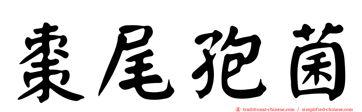 棗尾孢菌