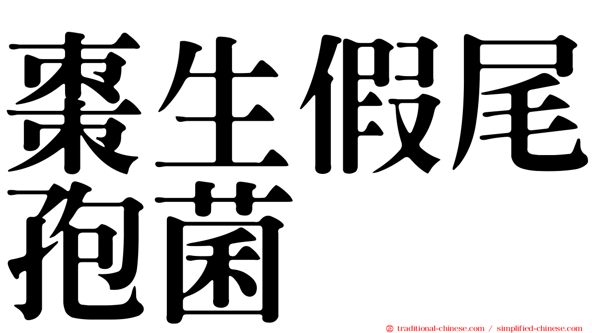 棗生假尾孢菌