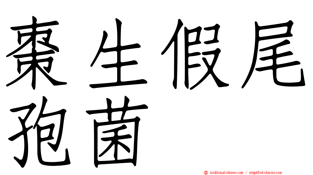 棗生假尾孢菌