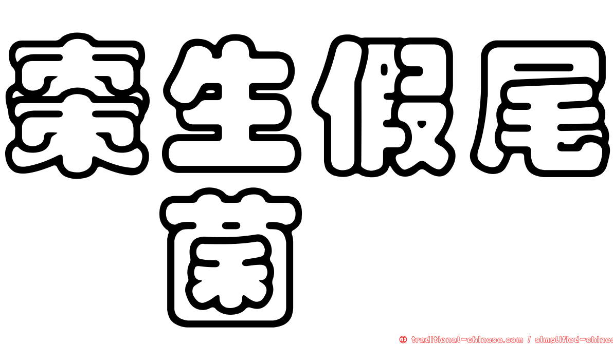 棗生假尾孢菌