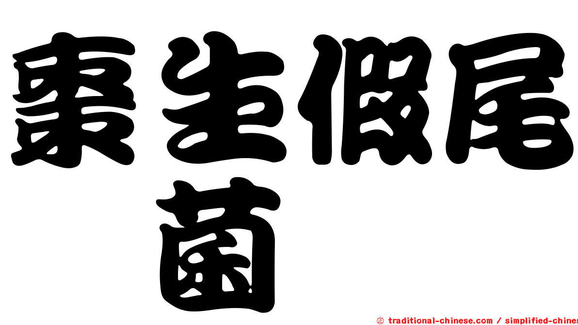 棗生假尾孢菌