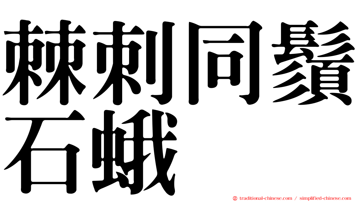棘刺同鬚石蛾
