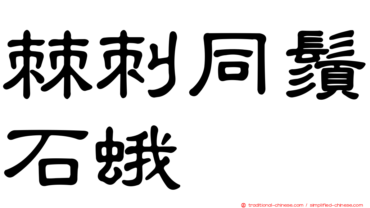 棘刺同鬚石蛾