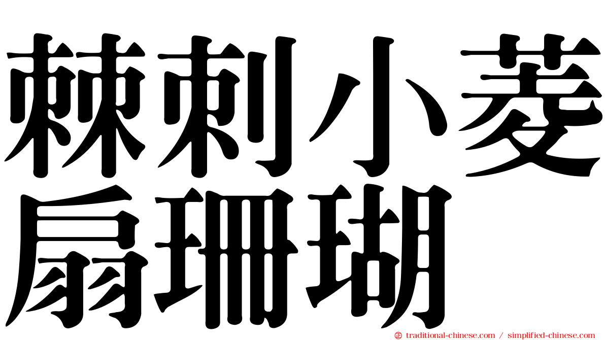 棘刺小菱扇珊瑚