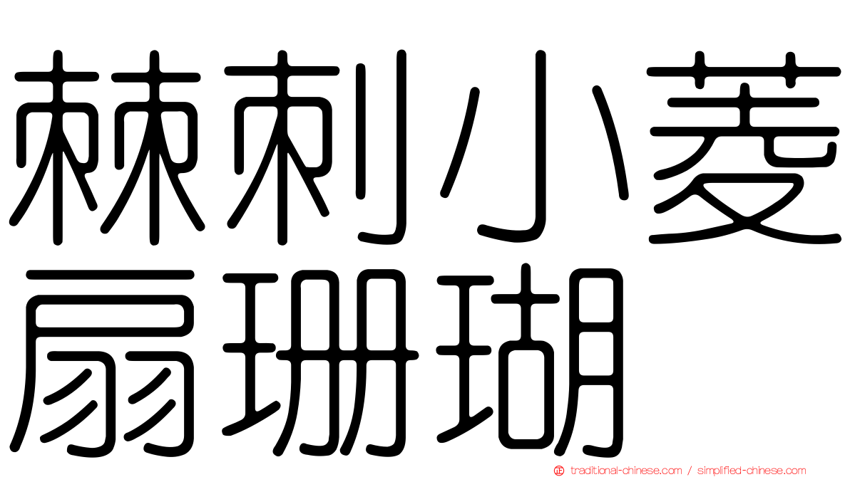 棘刺小菱扇珊瑚