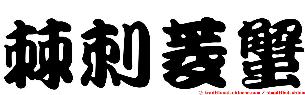 棘刺菱蟹