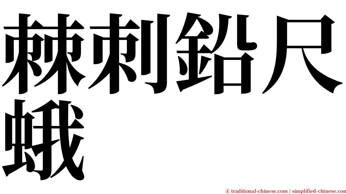 棘刺鉛尺蛾 serif font
