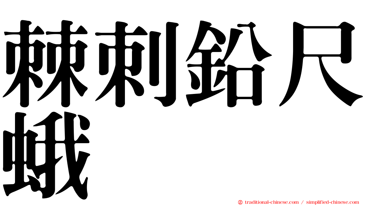 棘刺鉛尺蛾