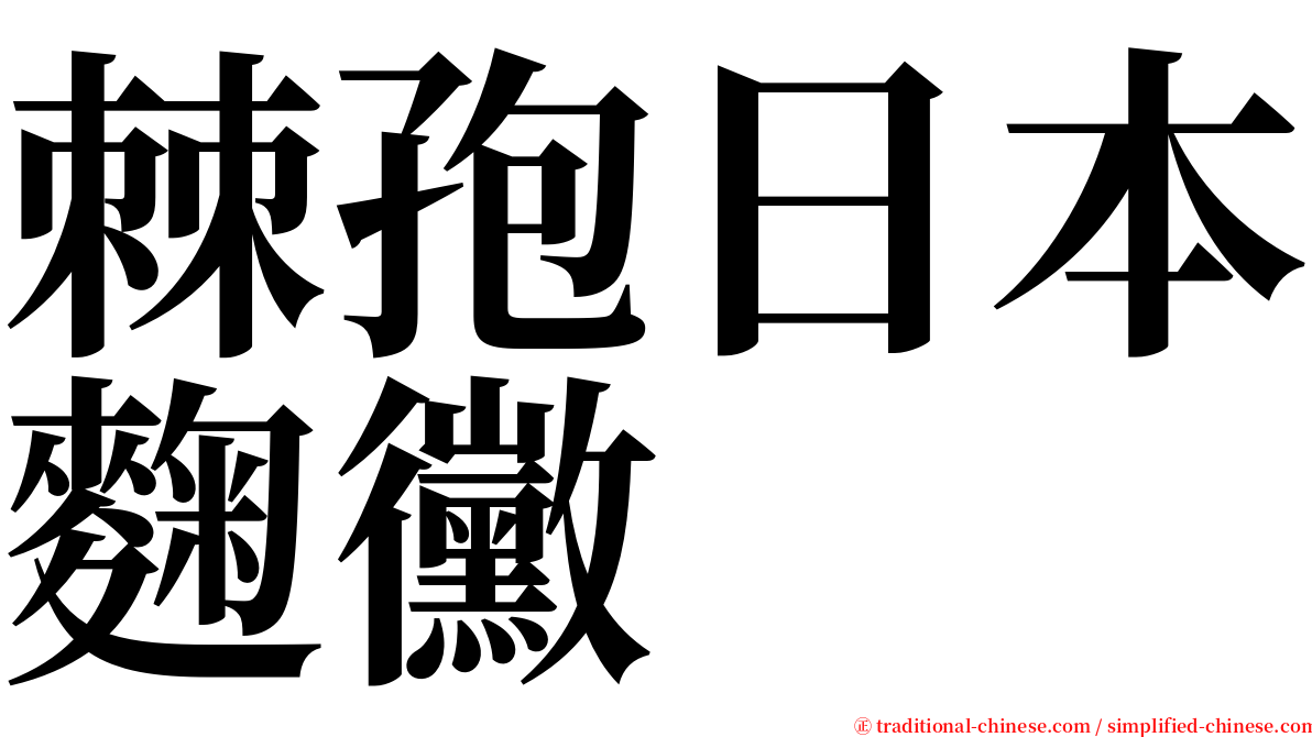 棘孢日本麴黴 serif font