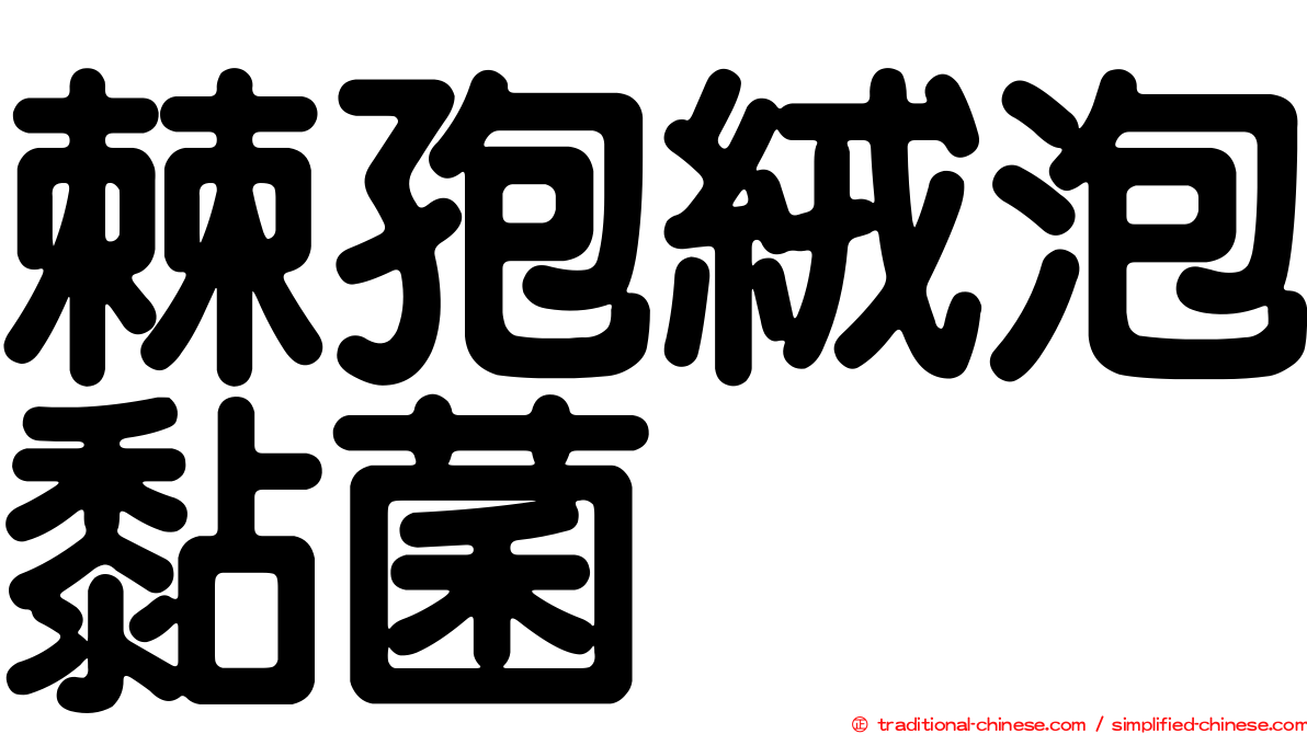 棘孢絨泡黏菌