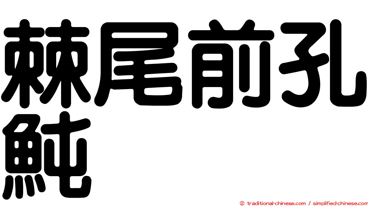 棘尾前孔魨