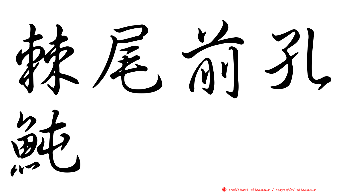 棘尾前孔魨