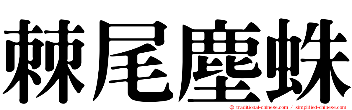 棘尾塵蛛