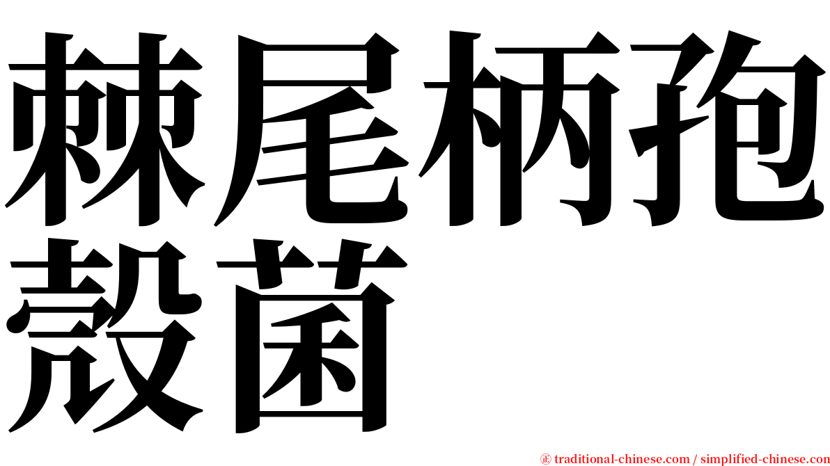 棘尾柄孢殼菌 serif font