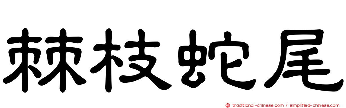 棘枝蛇尾