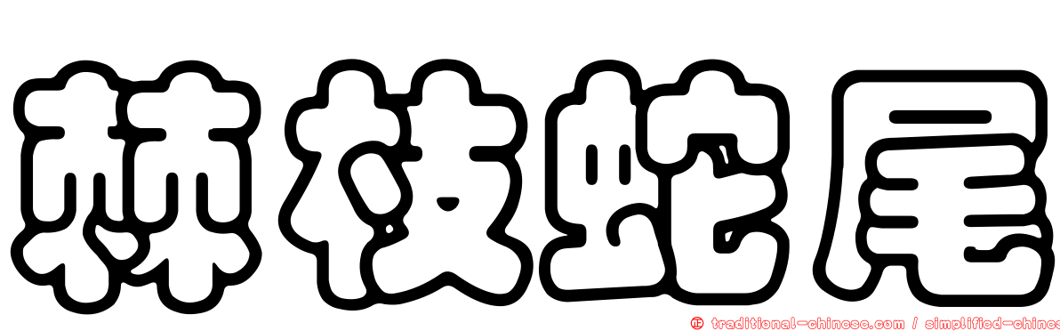 棘枝蛇尾