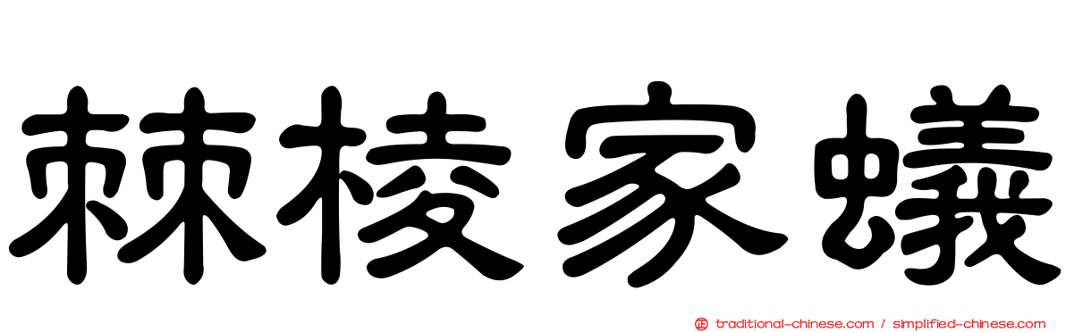 棘棱家蟻