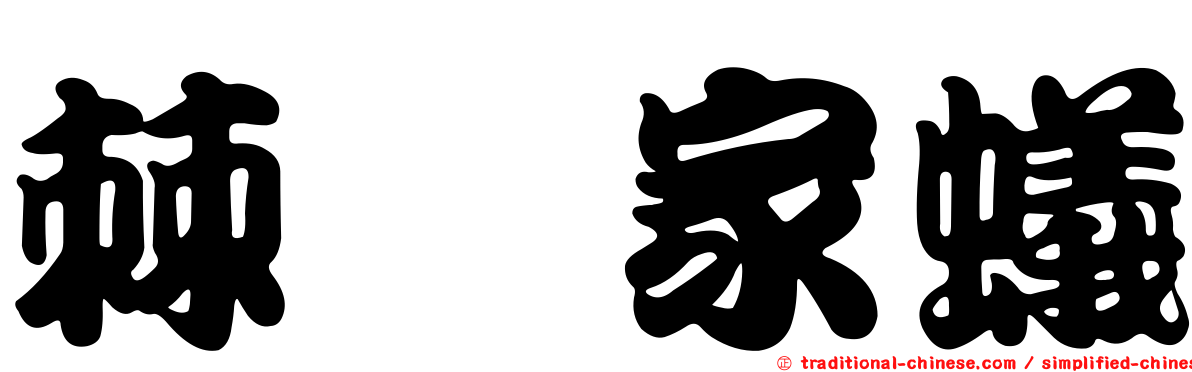 棘棱家蟻