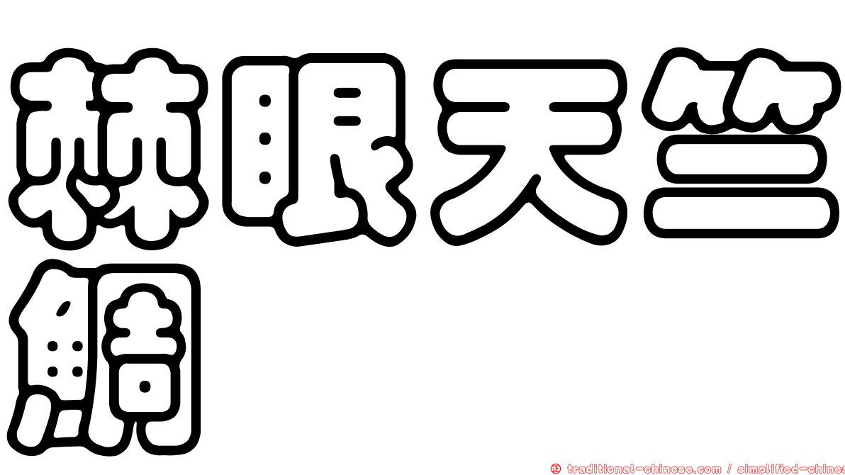 棘眼天竺鯛