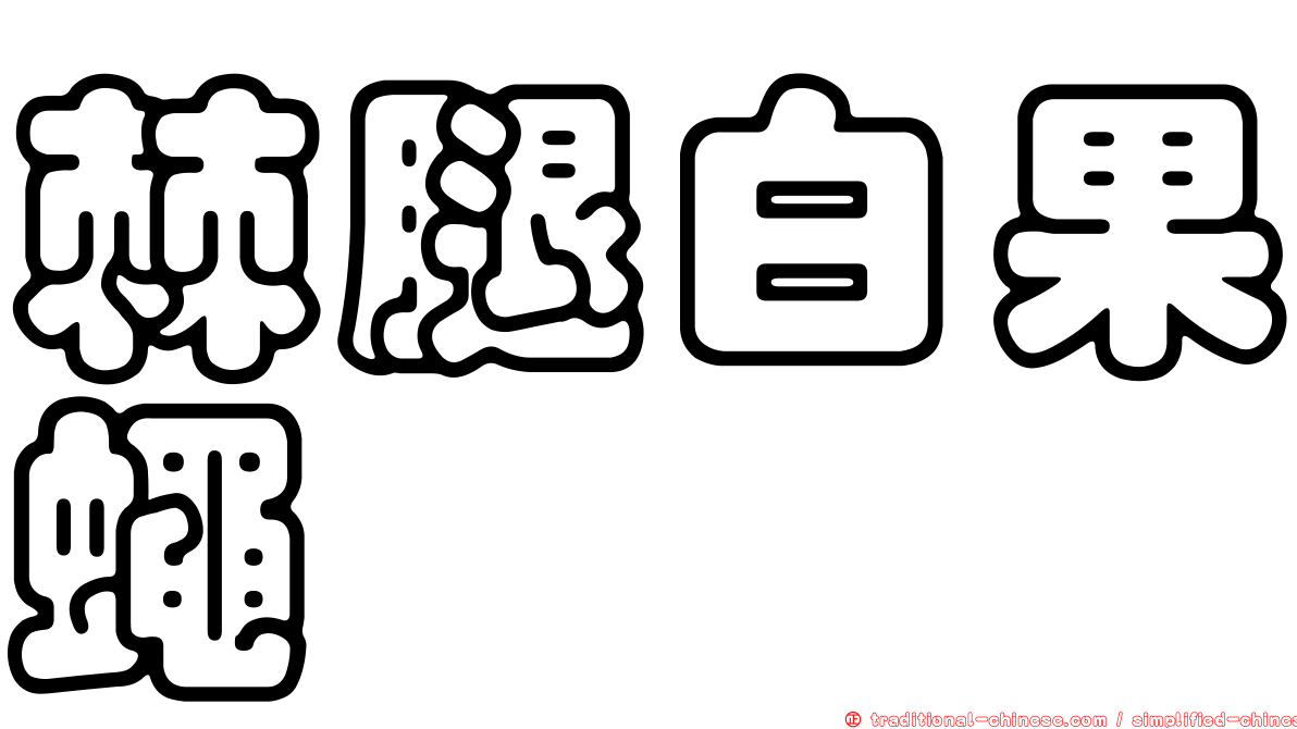 棘腿白果蠅