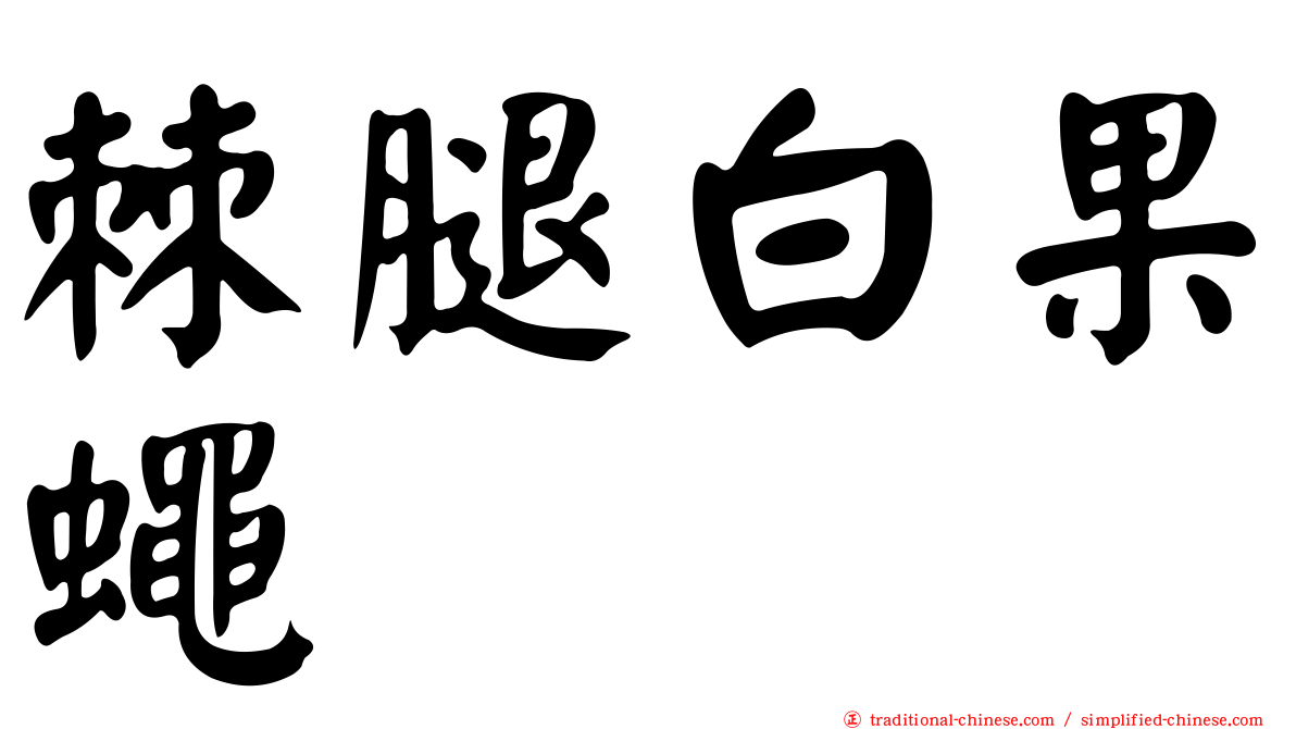 棘腿白果蠅