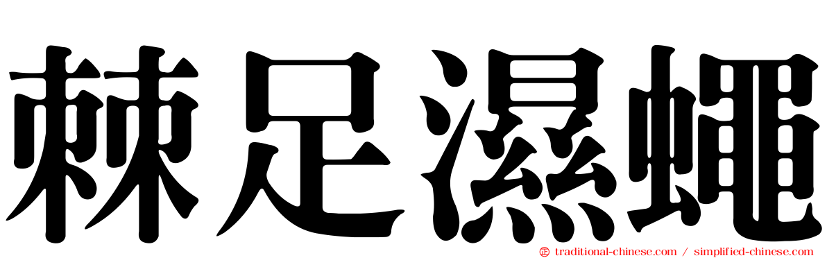 棘足濕蠅