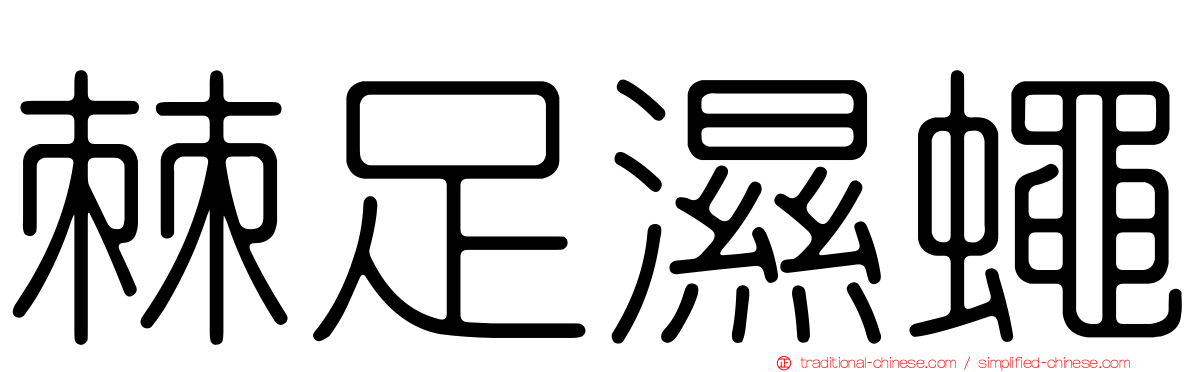 棘足濕蠅