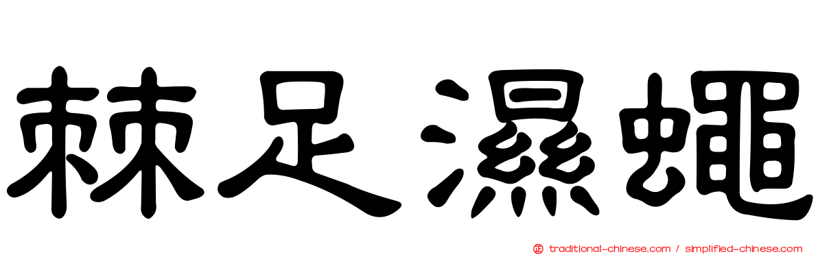 棘足濕蠅